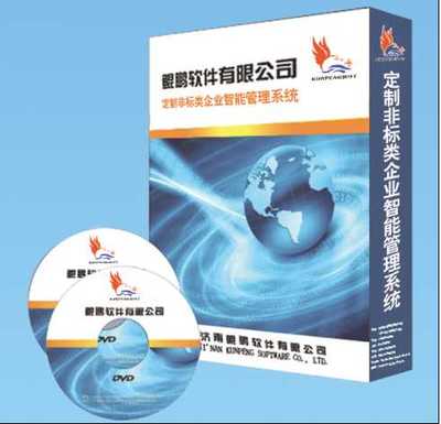 山東地區(qū)軟件開(kāi)發(fā)與計(jì)算機(jī)系統(tǒng)服務(wù)全覽 非標(biāo)軟件、公眾號(hào)開(kāi)發(fā)與系統(tǒng)解決方案